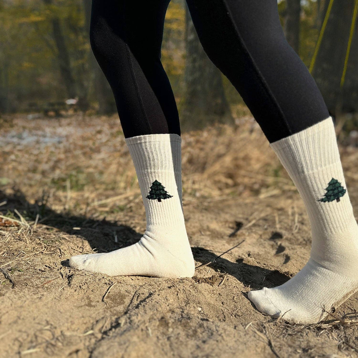 Women's Crew Cushioned Hiking  Cotton Socks