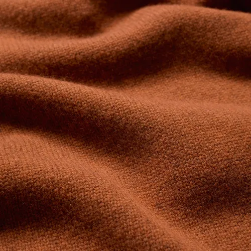 Seasalt Cornwall - Braque Lambswool Blend Roll Neck Jumper - Rusted
