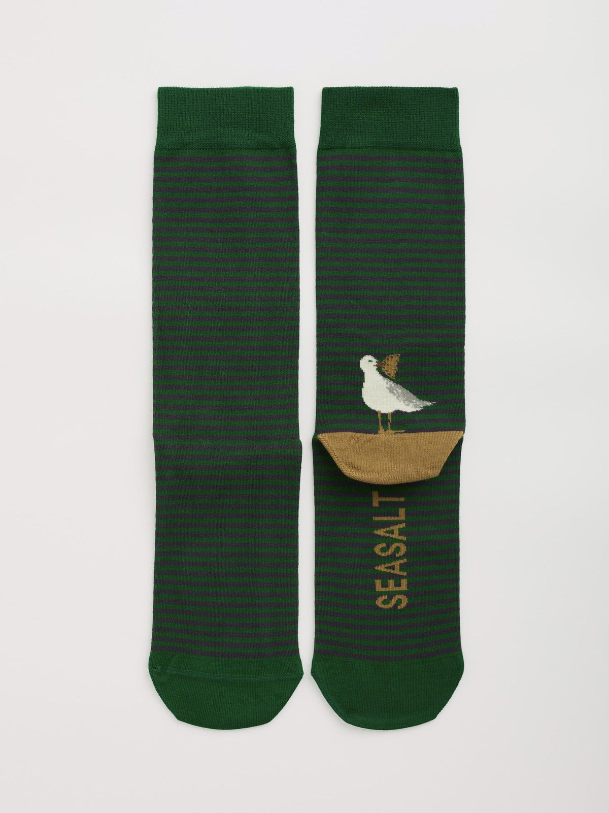 Seasalt Cornwall - Men's Everyday Socks - Pasty Perch Tehidy