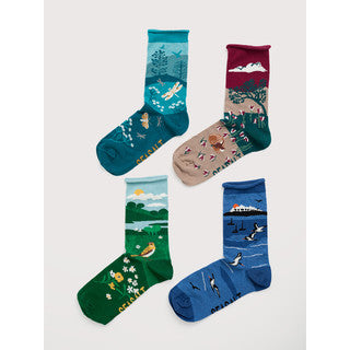 Seasalt Cornwall - Ladies' Arty Socks Gift Box of 4  – Scenic Signpost Mix