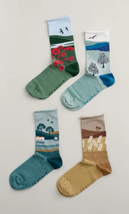 Seasalt Cornwall Women's Sailor Socks Box of 4 Scenic - Hall Walk Mix