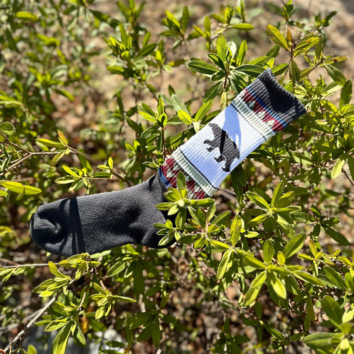 Women's Crew Cushioned Hiking  Cotton Socks